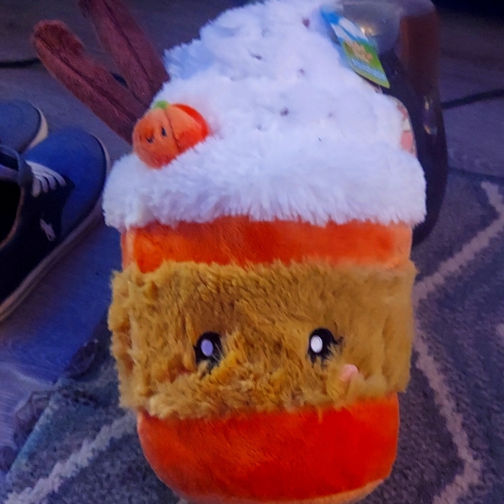 Nwt Pumpkin spice latte season is here!